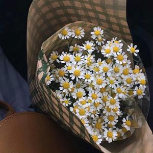 若能等风月枕上满庭秋