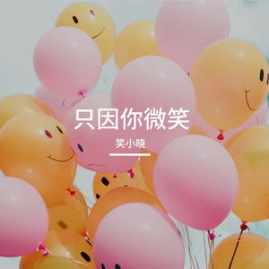 只因你微笑
