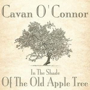 The White Cliffs of Dover