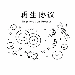 星入轨