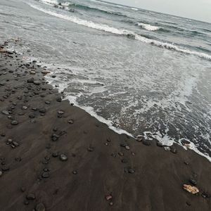 我的喜欢很直白