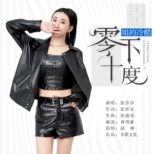 姐的冷酷，零下十度（DJ版）