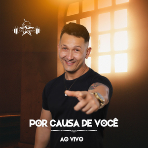 Por Causa de Você (Ao Vivo)