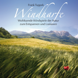 Windspiele: Windharfe mit Vogel- und Waldgeräuschen und Windspiel, Pt. 1