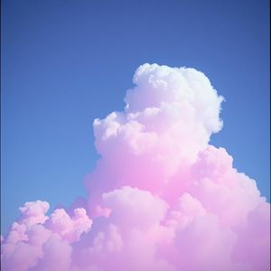 未来星光 (Future Starlight)