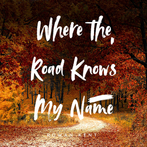 Backroads & Polaroids