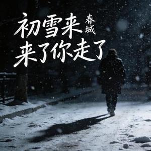 初雪到来你走了