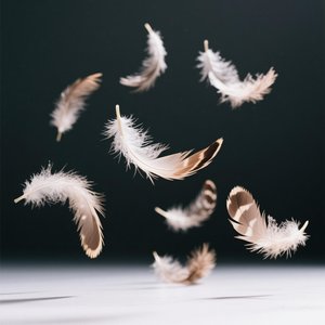 Giggly Feather Drift