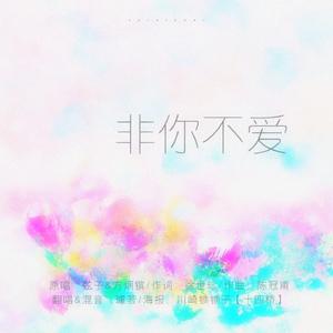 非你不爱