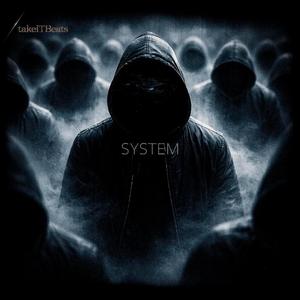 System