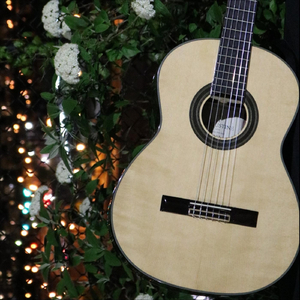 Postcards from Spain: II. Starlight on Compostela