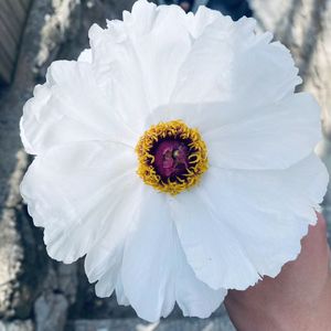 do you love me (prod.Yn1Jasper)