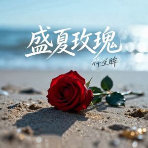盛夏玫瑰