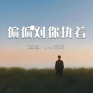 偏偏对你执着