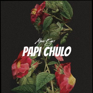 Papi Chulo