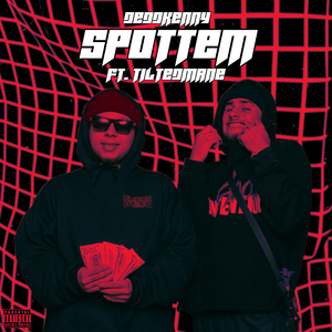 SPOTTEM