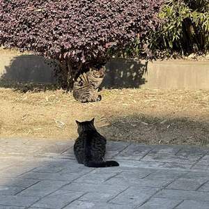 未醒（prod by ANei ）