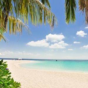 天马行空的梦想（解压治愈轻音乐）