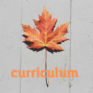 Curriculum