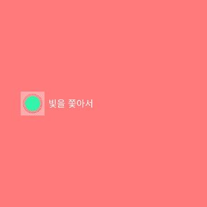 빛을 쫓아서