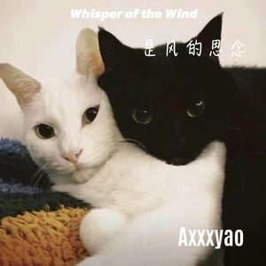 是风的思念（Prod.Lisure）