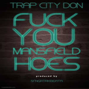 **** You Mansfield Hoes (feat. Trap City Don)