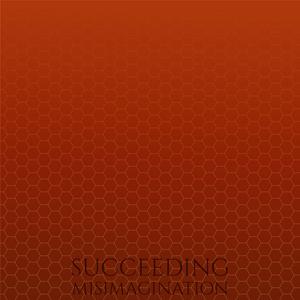 Succeeding Misimagination