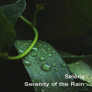 Serenity of the Rain