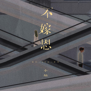 不嫁恩 (DJ Eva版)