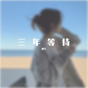 三年的等待(椰子版)