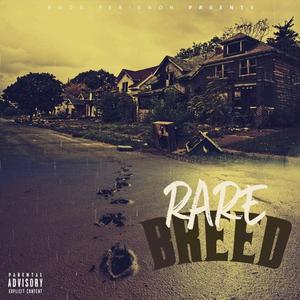 Fake Thuggin (feat. BIG CHAGO & Boosie)