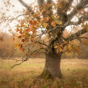 走慢一点也算数(cover)