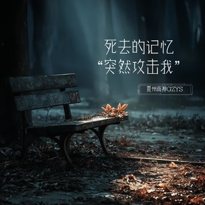 死去的记忆突然攻击我