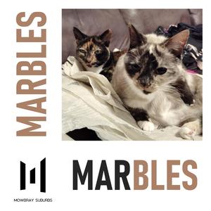 Marbles