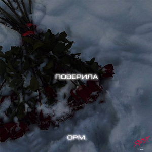 Поверила