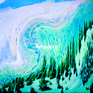 カンガルーも考えている