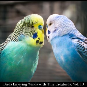 Pattering Rain on Leaves