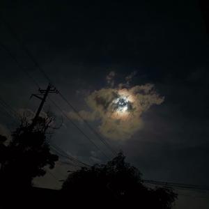 爱你就像爱生命