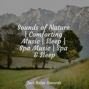 Oceanic Euphonic Dreamscape