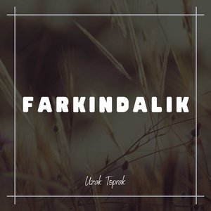 Farkındalık