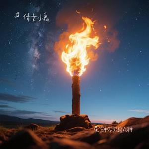 星空中不灭的火种
