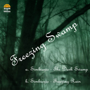 The Dark Swamp (Original Mix)