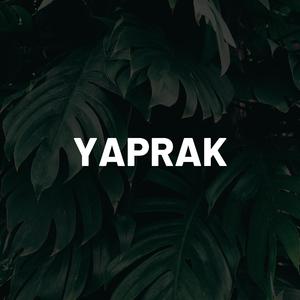 Yaprak