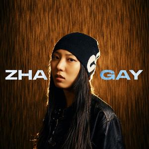 ZHA DA GAY