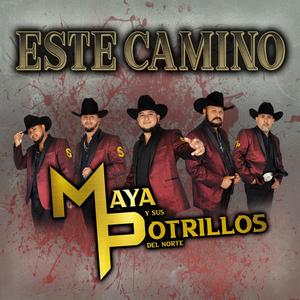 Sentimiento Por Tu Amor