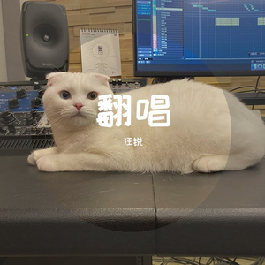 情歌（你和我 十指紧扣）