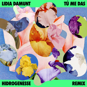 Tú Me Das (Hidrogenesse Remix)