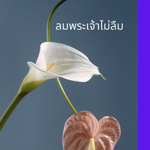 ลมพระเจ้าไม่ลืม