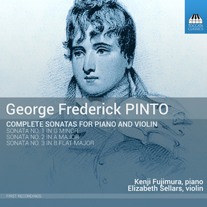 Sonata for Piano and Violin No. 1 in G Minor:I. Allegro moderato con espressione