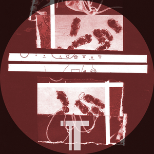 Syndromic (Original Mix)